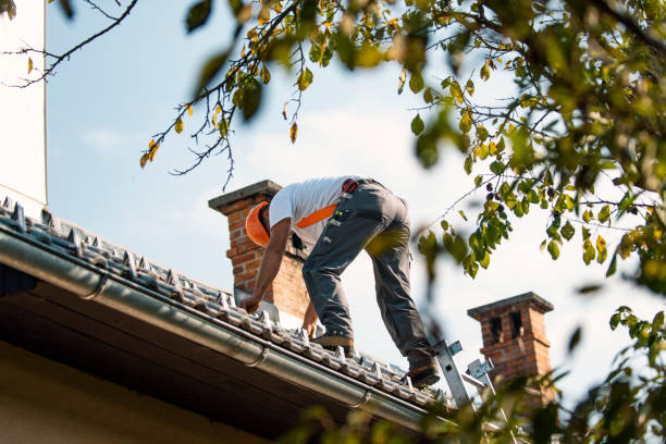 Best Roof Gutter Cleaning  in Roseville, CA
